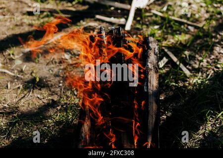 Bois de chauffage brûlé dans un barbecue maison sur fond dans le jardin. Gros plan sur le bois de chauffage, le feu et la fumée Banque D'Images