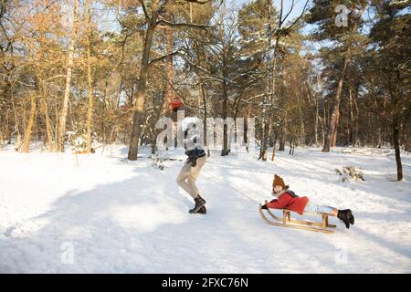 Père joueur avec des fils dans la neige pendant l'hiver Banque D'Images