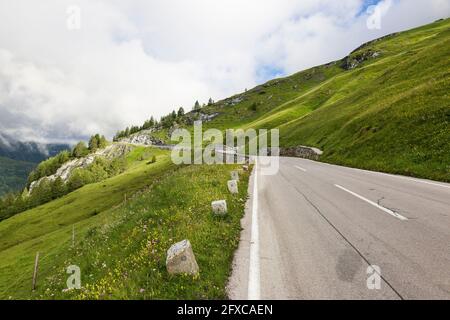 Autriche, Carinthie, prairies luxuriantes Grossglockner High Alpine Road Banque D'Images
