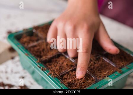 Garçon plantant des graines dans la boîte de pot de fleur Banque D'Images