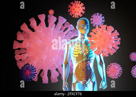 Illustration 3D de la visualisation de l'anatomie humaine avec squelette et organes internes entourés de virus Banque D'Images