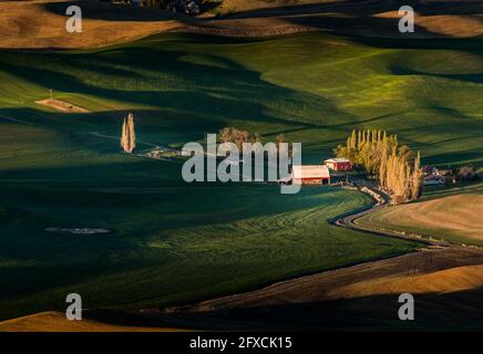 Une vue spectaculaire depuis le parc national de Steptep Butte avec spectaculaire Lumières et collines ondoyantes à Palouse Washington Banque D'Images