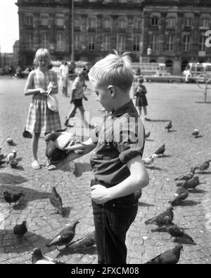 Enfants nourrissant des pigeons sur la place Dam, 19 août 1965, pigeons, enfants, Pays-Bas, Agence de presse du XXe siècle photo, nouvelles à retenir, documentaire, photographie historique 1945-1990, histoires visuelles, L'histoire humaine du XXe siècle, immortaliser des moments dans le temps Banque D'Images