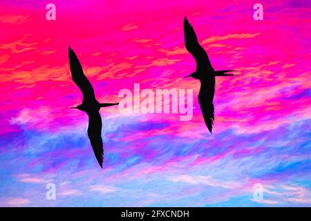 Deux oiseaux volées avec des ailes étalées silhouetté contre UN Ciel de coucher de soleil aux couleurs vives au format Illustration Painting Banque D'Images