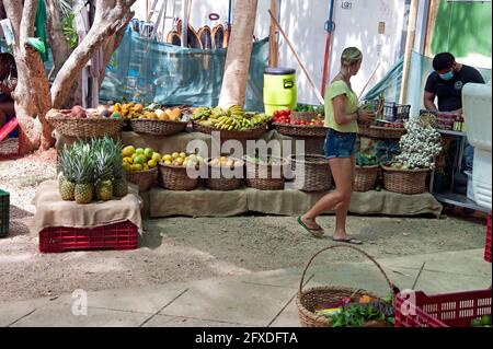 Petit marché le samedi à Tamarindo, Costa Rica Banque D'Images