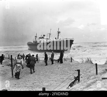 Tempête sur la côte navire panaméen Watingo sur la plage Bergen, 22 décembre 1954, navires, tempêtes, Plages, pays-Bas, Agence de presse du XXe siècle photo, nouvelles à retenir, documentaire, photographie historique 1945-1990, histoires visuelles, L'histoire humaine du XXe siècle, immortaliser des moments dans le temps Banque D'Images