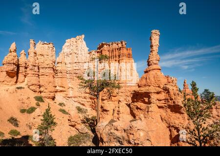 Flèches et arches de grès dans le parc national de Bryce Canyon, Utah Banque D'Images