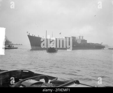 Lancement du chasseur de sous-marins Groningen, 9 janvier 1954, lanceurs, chasseurs de sous-marins, Pays-Bas, Agence de presse du XXe siècle photo, nouvelles à retenir, documentaire, photographie historique 1945-1990, histoires visuelles, L'histoire humaine du XXe siècle, immortaliser des moments dans le temps Banque D'Images