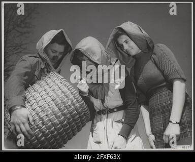 École horticole Huize te Lande à Rijswijk. Rien ne peut vous arriver avec la ruche, surtout si vous fumez un tuyau avec elle. On est plus courageux, et défie la menace des abeilles bourdonnantes, le 1er avril 1946, abeilles, filles, Éducation, élèves, horticulture, pays-Bas, Agence de presse du XXe siècle photo, nouvelles à retenir, documentaire, photographie historique 1945-1990, histoires visuelles, L'histoire humaine du XXe siècle, immortaliser des moments dans le temps Banque D'Images