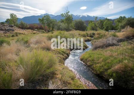 Benton Hot Springs est une ville fantôme minière argentée du comté de Mono, en Californie, aux États-Unis, où les voyageurs peuvent s'asseoir dans des sources chaudes. Banque D'Images