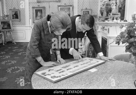 Deuxième journée cadeau pour princesse Beatrix et Claus au Palais Soestdijk, princesse Beatrix et Claus aux cadeaux, 1er mars 1966, cadeaux, princesses, Pays-Bas, Agence de presse du XXe siècle photo, nouvelles à retenir, documentaire, photographie historique 1945-1990, histoires visuelles, L'histoire humaine du XXe siècle, immortaliser des moments dans le temps Banque D'Images