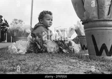 Michel, âgé de deux ans, vend dans le stand de fleurs du père, le 10 mai 1962, fleurs, pays-Bas, agence de presse du xxe siècle photo, nouvelles à retenir, documentaire, photographie historique 1945-1990, histoires visuelles, L'histoire humaine du XXe siècle, immortaliser des moments dans le temps Banque D'Images