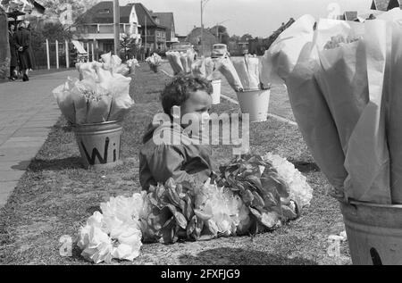 Michel, âgé de deux ans, vend dans le stand de fleurs du père, le 10 mai 1962, fleurs, pays-Bas, agence de presse du xxe siècle photo, nouvelles à retenir, documentaire, photographie historique 1945-1990, histoires visuelles, L'histoire humaine du XXe siècle, immortaliser des moments dans le temps Banque D'Images