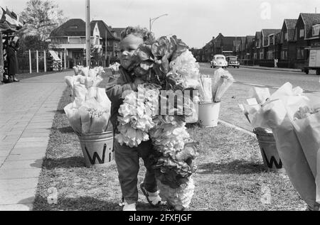 Michel, âgé de deux ans, vend dans le stand de fleurs du père, le 10 mai 1962, fleurs, pays-Bas, agence de presse du xxe siècle photo, nouvelles à retenir, documentaire, photographie historique 1945-1990, histoires visuelles, L'histoire humaine du XXe siècle, immortaliser des moments dans le temps Banque D'Images