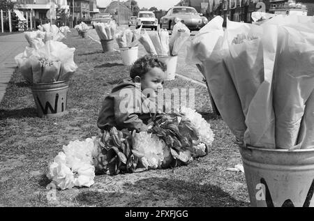 Michel, âgé de deux ans, vend dans le stand de fleurs du père, le 10 mai 1962, fleurs, pays-Bas, agence de presse du xxe siècle photo, nouvelles à retenir, documentaire, photographie historique 1945-1990, histoires visuelles, L'histoire humaine du XXe siècle, immortaliser des moments dans le temps Banque D'Images