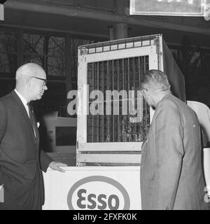 Deux messieurs en regardant un tigre de Sumatran dans une cage offerte au zoo de Blijdorp par une compagnie de pétrole et d'essence, le 1er décembre 1965, zoos, tigres, Pays-Bas, Agence de presse du XXe siècle photo, nouvelles à retenir, documentaire, photographie historique 1945-1990, histoires visuelles, L'histoire humaine du XXe siècle, immortaliser des moments dans le temps Banque D'Images