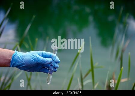 Échantillon d'eau. La main d'un homme dans un gant bleu tient un tube d'essai avec un échantillon d'eau sur le fond de l'eau du lac avec une teinte turquoise et coa Banque D'Images