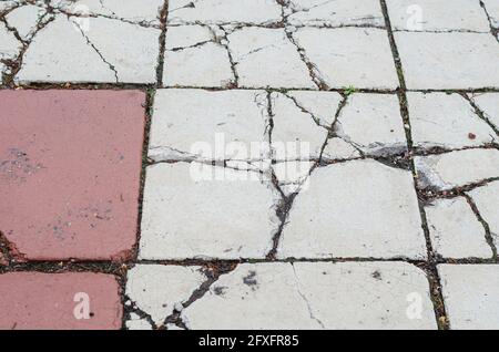 Anciens carreaux de revêtement fissurés. Trottoir humide blanc et rouge avec des fissures profondes. Jour. Prise de vue sous la pluie. Mise au point sélective. Banque D'Images