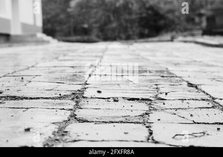 Photo monochrome Vieux trottoir sous la pluie. Carreaux de trottoir mouillés avec des fissures profondes et de petites pierres. Jour. Gouttes de pluie. Mise au point sélective. Banque D'Images