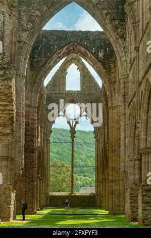 Abbaye de Tintern, Monmouthshire, Wales Banque D'Images