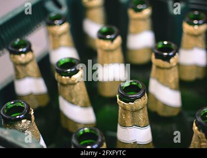 Vue de dessus des bouteilles de bière vertes vides dans la caisse. Recyclage des bouteilles de bière en verre vides. Banque D'Images