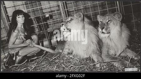 À partir du 1er décembre 1967, au Moulin Rouge, dansant de cabaret, sur le Thorbeckeplein à Amsterdam, le stripper Cleopatra se produit avec deux lions. Cleopatra est néerlandais, et est le premier dans notre pays à effectuer un spectacle de striptease avec deux lions, 23 novembre 1967, burlesque, danseurs, Animaux, lions, striptease, pays-Bas, Agence de presse du XXe siècle photo, nouvelles à retenir, documentaire, photographie historique 1945-1990, histoires visuelles, L'histoire humaine du XXe siècle, immortaliser des moments dans le temps Banque D'Images