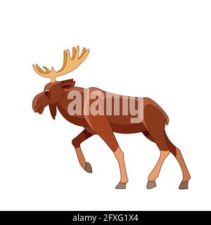 Promenade à l'orignal. Scène de la faune. Illustration plate vectorielle de personnage de dessin animé isolée sur un fond blanc Illustration de Vecteur