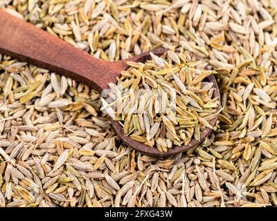 cuillère en bois sur tas de graines de cumin gros plan Banque D'Images