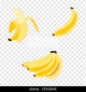 Ensemble de bananes réaliste, scénario d'icônes. La moitié,banane banane pelées,régime de bananes isolé sur fond transparent, icône de la banane Illustration de Vecteur