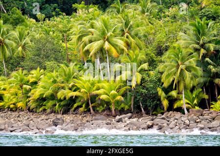 Paysage côtier, parc national Marino Ballena, Océan Pacifique, Uvita de Osa, Puntarenas, Costa Rica, Amérique centrale, Amérique Banque D'Images