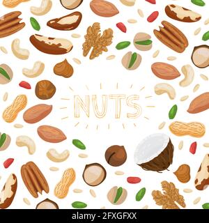 Ensemble de noix avec différents types de noix - noix du brésil, noix de coco, noix de cajou, noisettes, pistache, pacane, macadamia, arachide, noix de cèdre, amande, et châtaignier. V Illustration de Vecteur