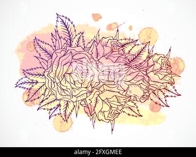 Ensemble vectoriel de roses et de feuilles dessinées à la main. Contour bordeaux sur fond rose et jaune avec éléments aquarelles texturés. Gradient utilisé. Illustration de Vecteur