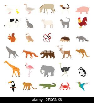 Collection Animaux : Les animaux de ferme, les animaux sauvages et les animaux marins isolé sur fond blanc. Modèle de conception de l'illustration vectorielle Illustration de Vecteur