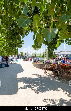 Village de Gura Portitei, péninsule de Portita au delta du Danube, Roumanie, Europe de l'est Banque D'Images