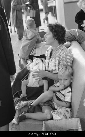 Réfugiés du Congo à l'aéroport de Schiphol (enfants), 12 juillet 1960, enfants, réfugiés, Pays-Bas, Agence de presse du XXe siècle photo, nouvelles à retenir, documentaire, photographie historique 1945-1990, histoires visuelles, L'histoire humaine du XXe siècle, immortaliser des moments dans le temps Banque D'Images