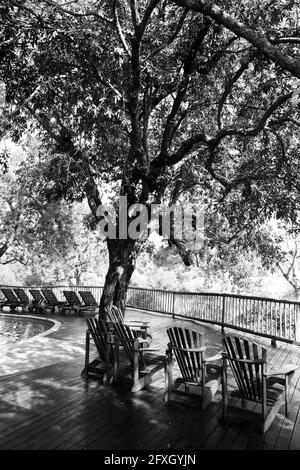 JOHANNESBURG, AFRIQUE DU SUD - 05 janvier 2021: Sabi Sabi, Afrique du Sud - 5 mai 2012: Sabi Sabi réserve de jeux privée piscine et chaises longues au pavillon principal Banque D'Images