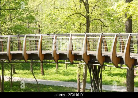 Russie, Moscou: Sentier écologique aérien parmi les couronnes d'arbres, parc VDNH, printemps. Banque D'Images