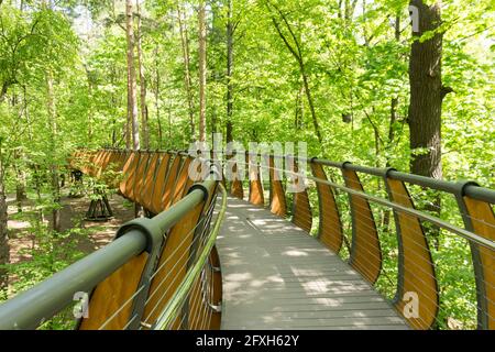 Russie, Moscou: Sentier écologique aérien parmi les couronnes d'arbres, parc VDNH, printemps. Banque D'Images