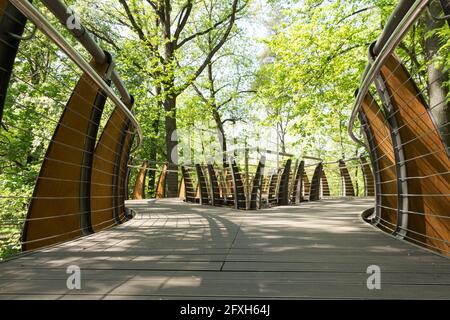 Russie, Moscou: Sentier écologique aérien parmi les couronnes d'arbres, parc VDNH, printemps. Banque D'Images