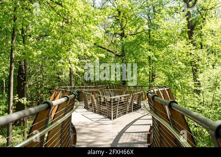 Russie, Moscou: Sentier écologique aérien parmi les couronnes d'arbres, parc VDNH, printemps. Banque D'Images