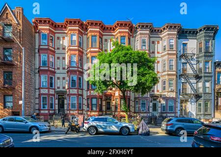 Plusieurs familles Queen Anne 'appartements bâtiments' au 548-554 11th Street, Park Slope, Brooklyn. Banque D'Images