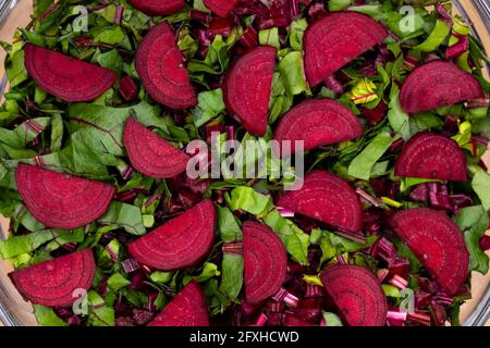 Feuilles fraîches et morceaux de betteraves coupés disposés dans un bol en verre. Photo prise sous une lumière artificielle douce. Banque D'Images