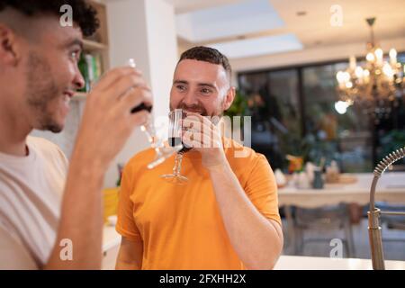 Un couple de hommes gais heureux qui boit du vin rouge dans la cuisine Banque D'Images