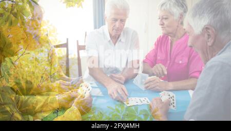 Composition des hommes et des femmes âgés jouant des cartes avec l'arbre superposition Banque D'Images