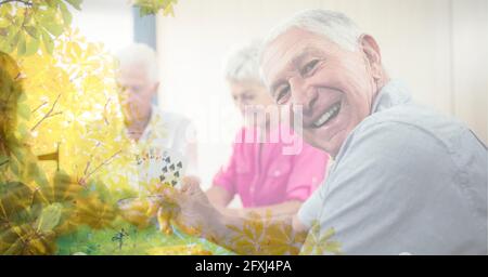 Composition d'un homme caucasien âgé souriant jouant des cartes avec des amis avec superposition d'arbre Banque D'Images