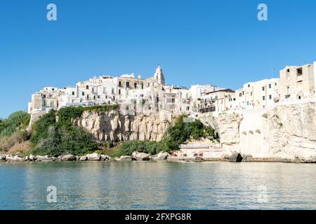 Maisons blanchies à la chaux et église San Francesco sur les falaises, Vieste, province de Foggia, parc national de Gargano, Pouilles, Italie, Europe Banque D'Images