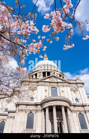 Cathédrale Saint-Paul au printemps, Londres, Angleterre, Royaume-Uni, Europe Banque D'Images