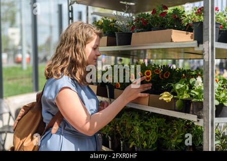 Femme choisissant des fleurs de jardin sur le marché des fermiers à la journée ensoleillée Banque D'Images