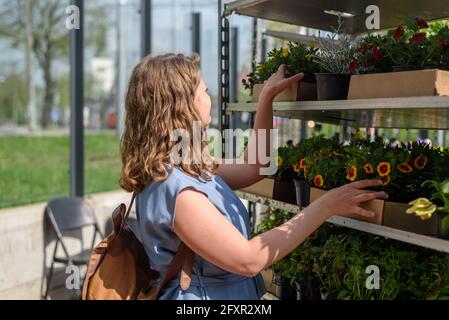 Femme choisissant des fleurs de jardin sur le marché des fermiers à la journée ensoleillée Banque D'Images