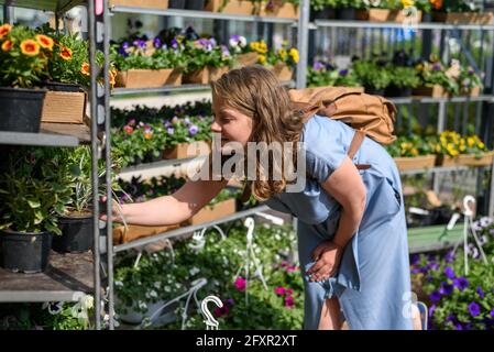 Femme choisissant des fleurs de jardin sur le marché des fermiers à la journée ensoleillée Banque D'Images